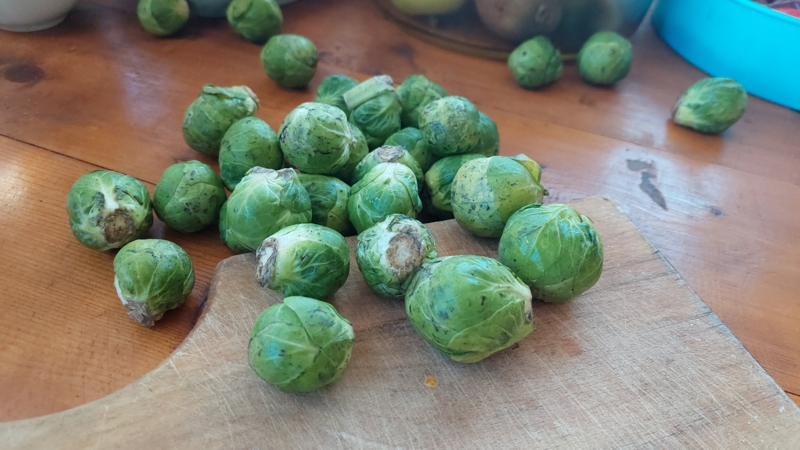 Geputzter Rosenkohl kochen