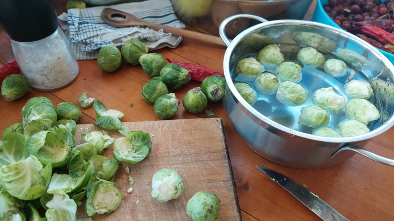 geputzte Röschen Rosenkohl bereit zum Kochen