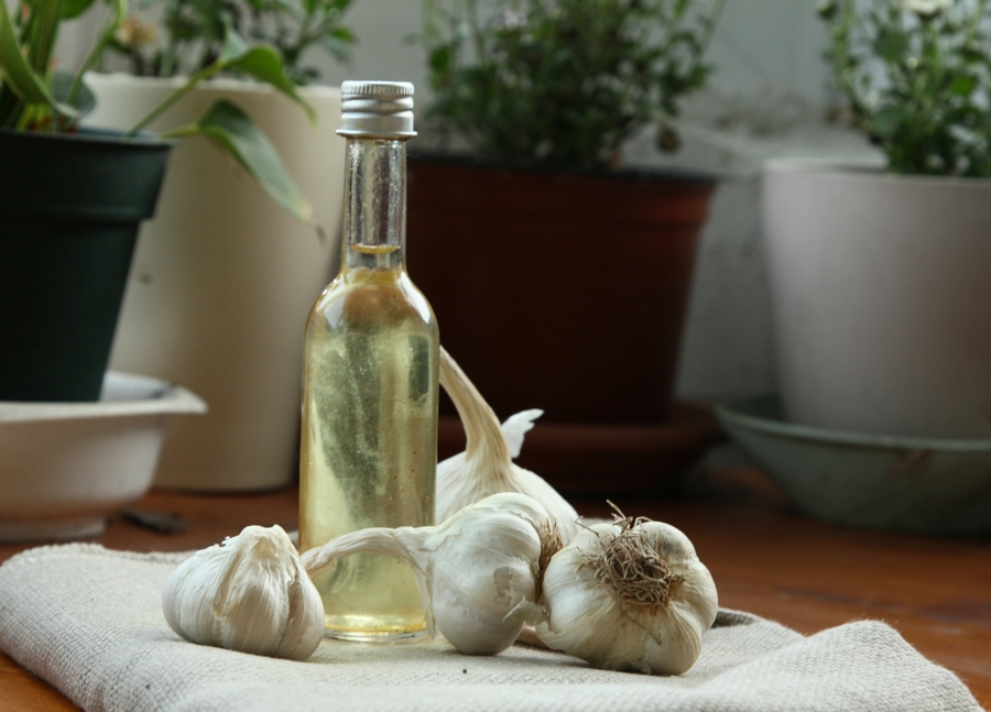 Knoblauch gesund