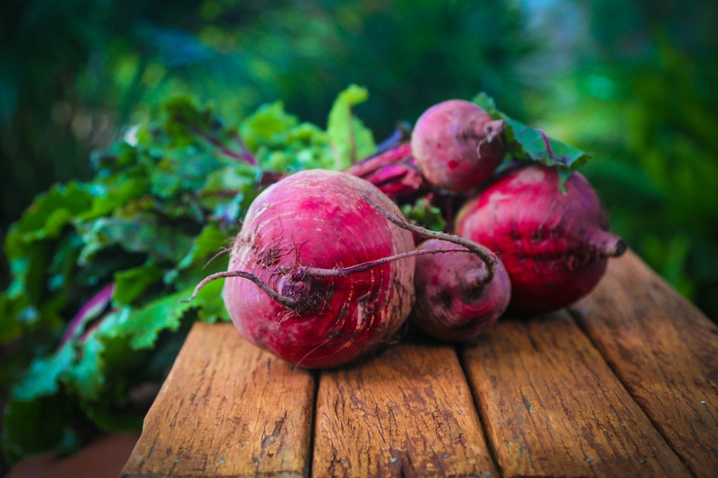 frische rote Beete zum Entgiften des Körpers