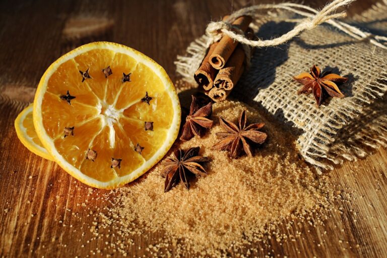 Orangenscheibe mit Gewürznelken und Zimt